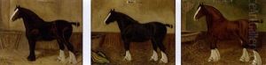 "beauty", A Shire Horse by Herbert H. St. John Jones