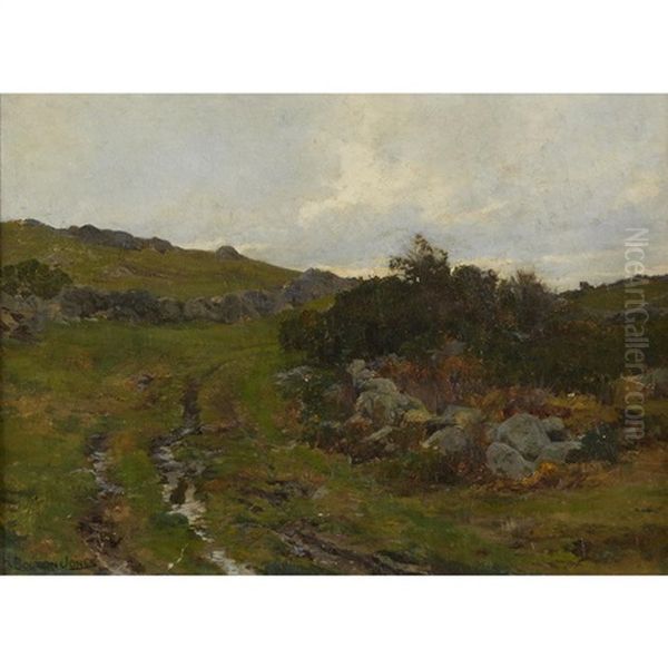 The Stream Up In The Mountain - view 1