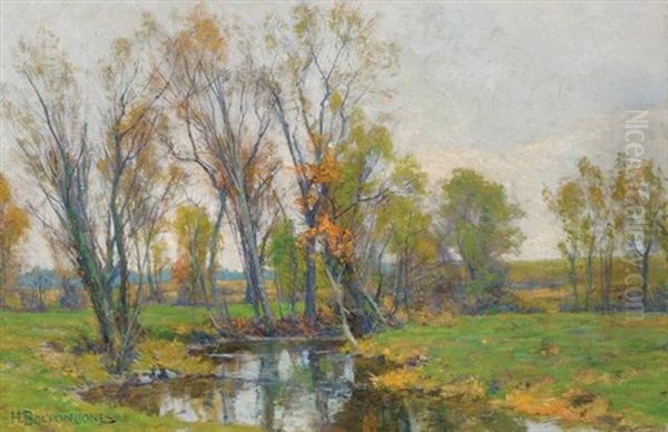 Spring Landscape With Pond And Trees - view 1