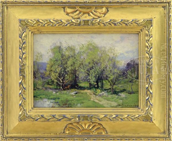 Spring Landscape - view 1