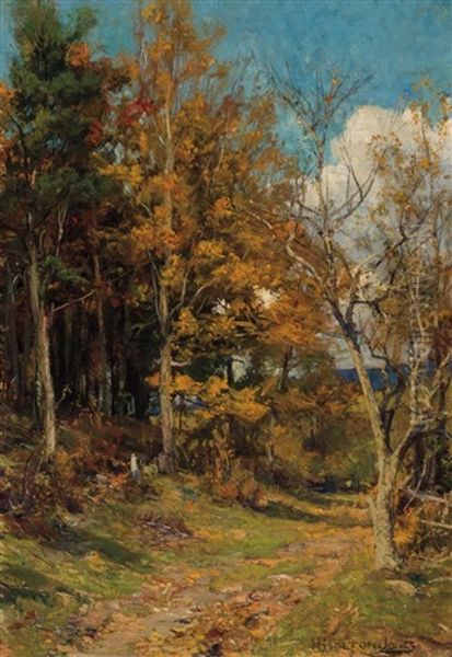 The Lure Of Autumn - view 1