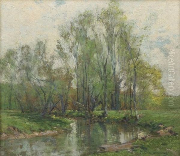 River Through A Tree-lined Landscape - view 1
