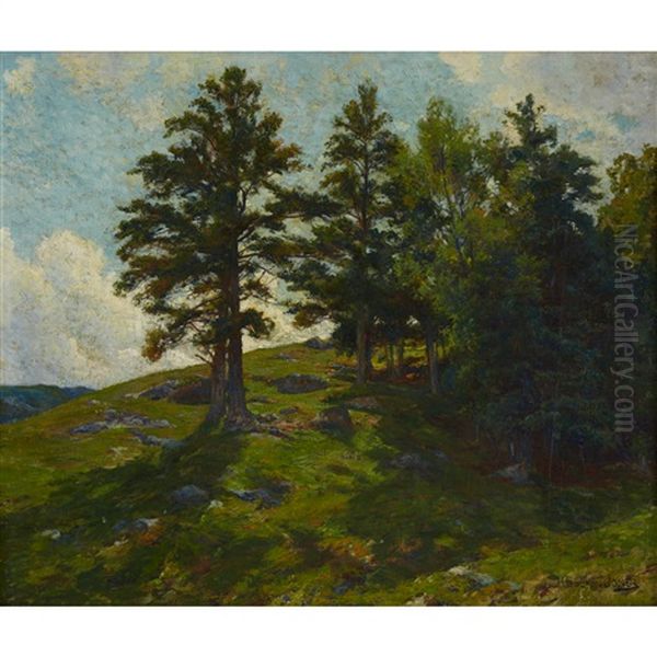 Hilly Landscape With Evergreens - view 1