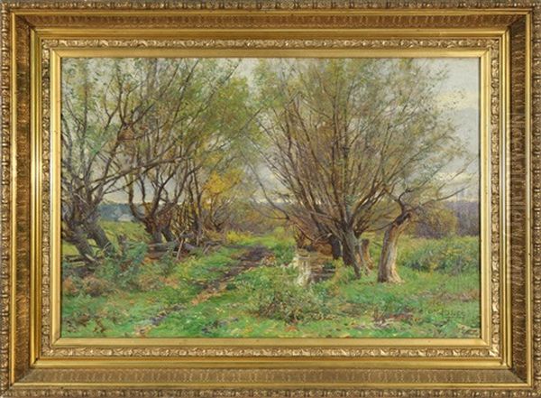 Summer Landscape With A Meandering Stream - view 1