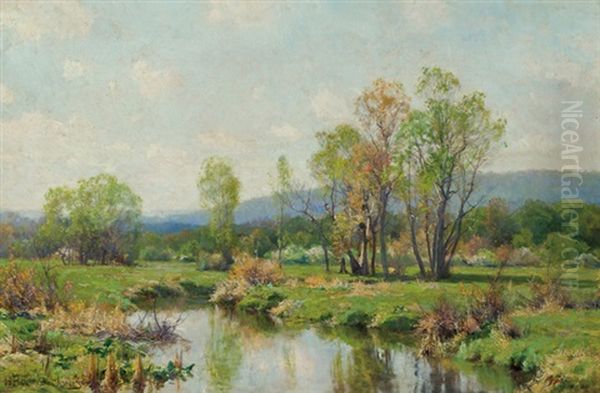 Spring Reflections - view 1