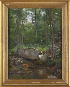 Forest Forest