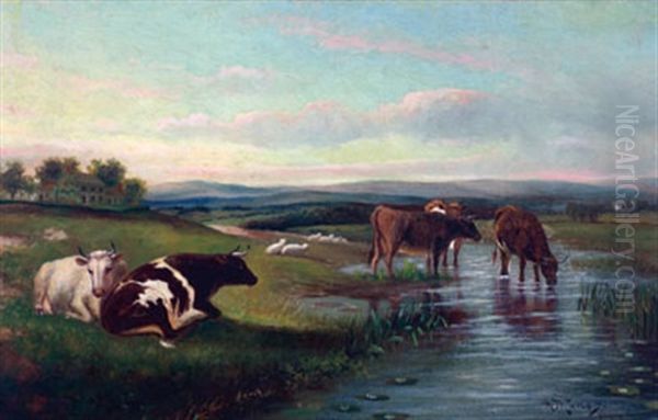 Cows Watering In A Stream, Distant Farmhouse - view 1