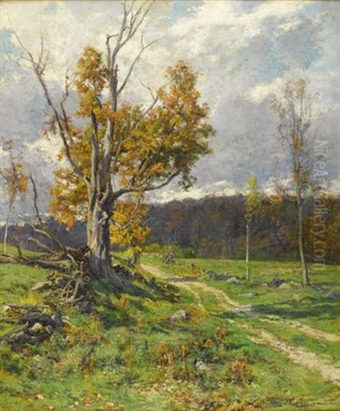 Fall Landscape - view 1
