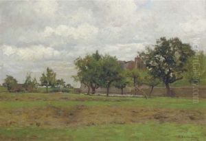Sheep In The Shade Of An Orchard