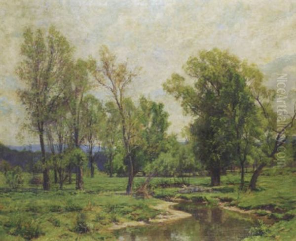 Spring Landscape With Stream - view 1