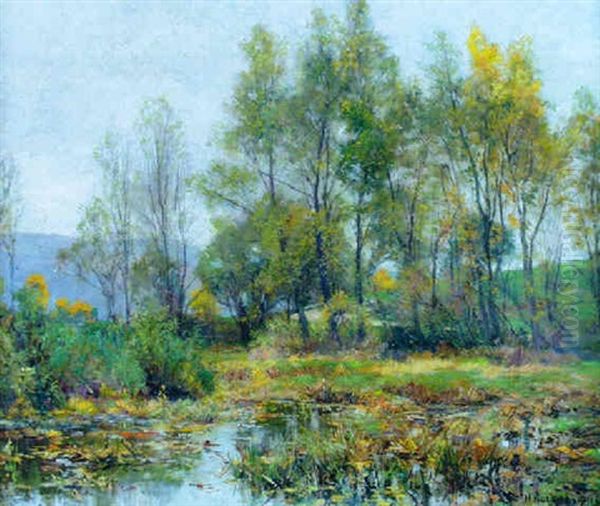 The Pond In Early Fall - view 1