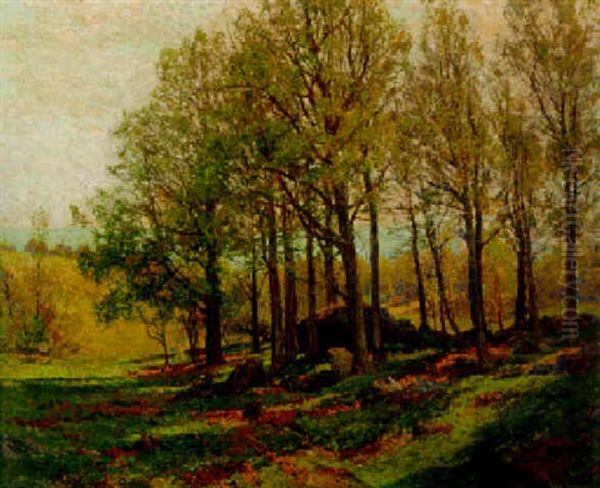 Maples In The Spring - view 1