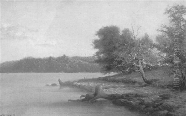 River Landscape - view 1