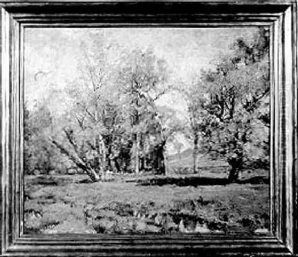 Meadow And Stream - view 1