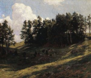 A Sunny Hillside A Sunny Hillside