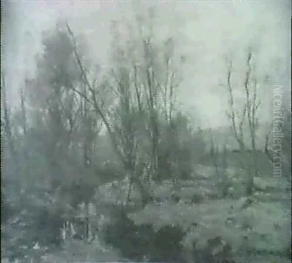The Stream/a Spring Landscape - view 1