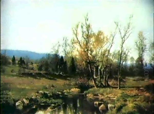 Quiet Stream - view 1