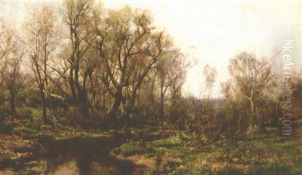 Spring Landscape - view 1
