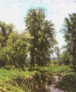 The Brook In June