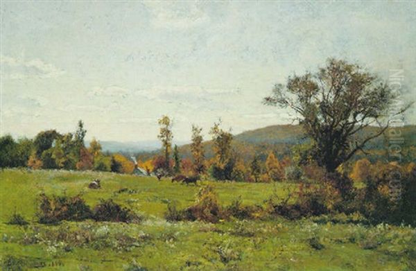 Grazing Cows - view 1