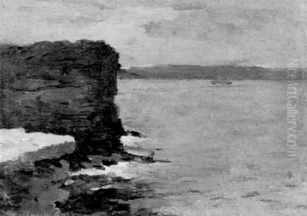 South Head, Sydney Harbour - view 1