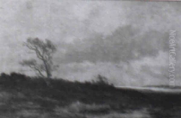 A Wintry Gleam - view 1