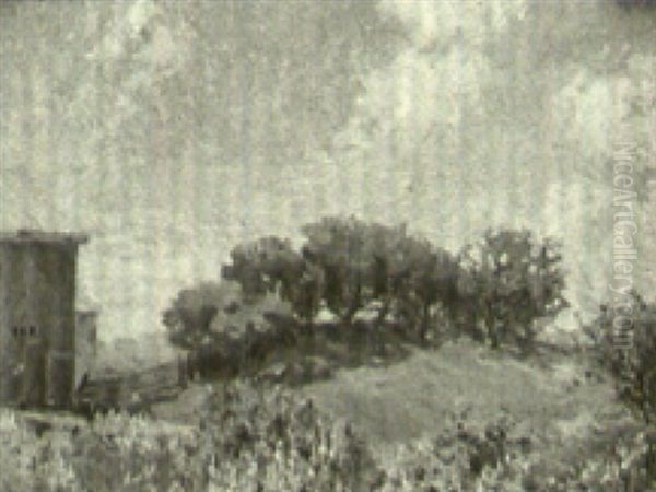 Summer Landscape - view 1