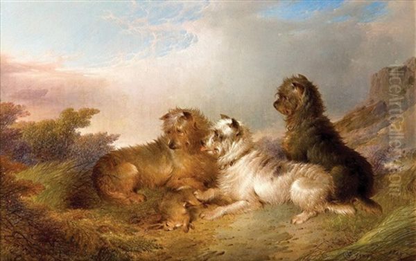 Sporting Terriers - view 1