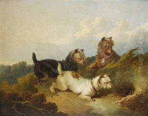 Too Late!; Out Of Reach! (pair) by Paul Jones