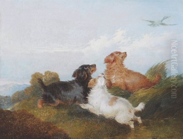 Three Dogs In A Landscape - view 1