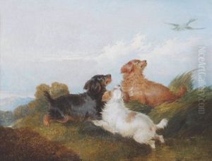 Three Dogs In A Landscape