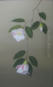 Pink And White Camellias (carillon) (study) Pink And White Camellias (carillon) (study)
