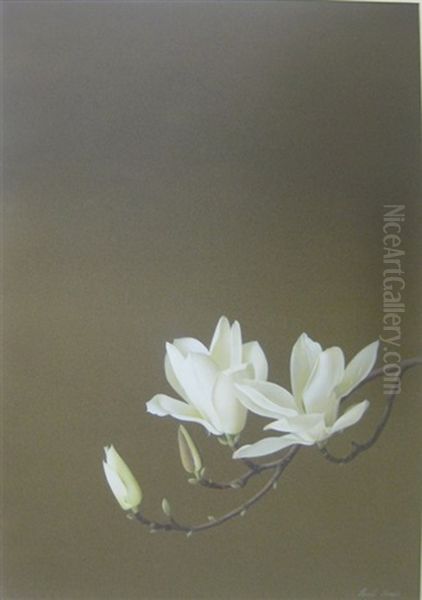 Magnolia - view 1