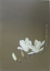 Magnolia Magnolia
