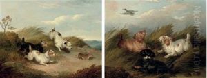 Flushing A Mallard (+ Chasing A Rabbit; Pair)