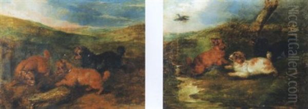 Drei Spaniel Jagen Einen Vogel - view 1