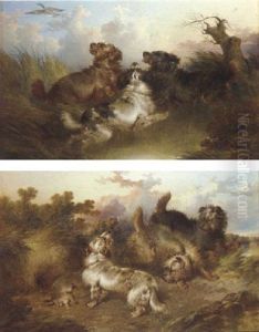 Spaniels Flushing A Duck