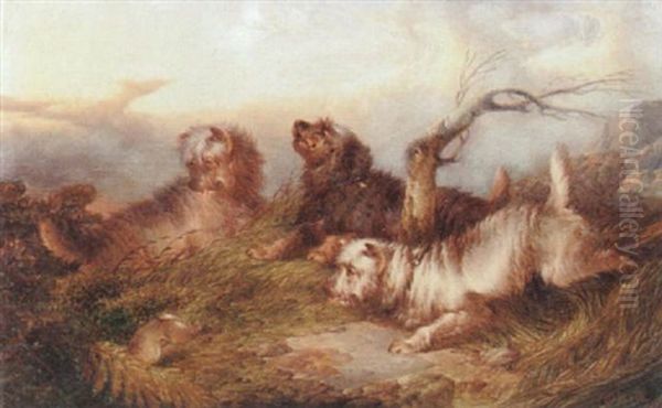 Terriers Hunting - view 1