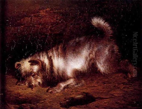 Chien Anglais - view 1