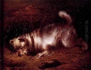 Chien Anglais Chien Anglais