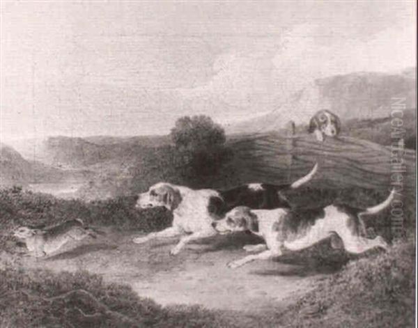 Hare Coursing - view 1