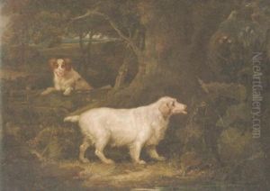 A Clumber Spaniel In A Wood by Richard Jones