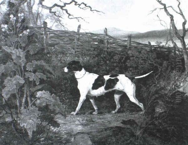 Flirt, A Pointer In A Landscape - view 1