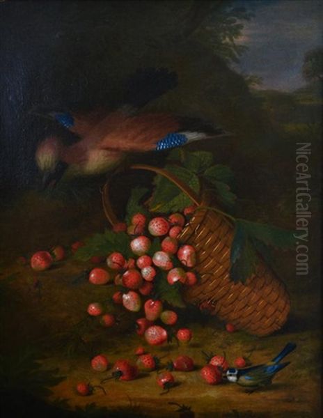 A Jay Knocking Over A Basket Of Strawberries, Watched By A Blue Tit - view 1