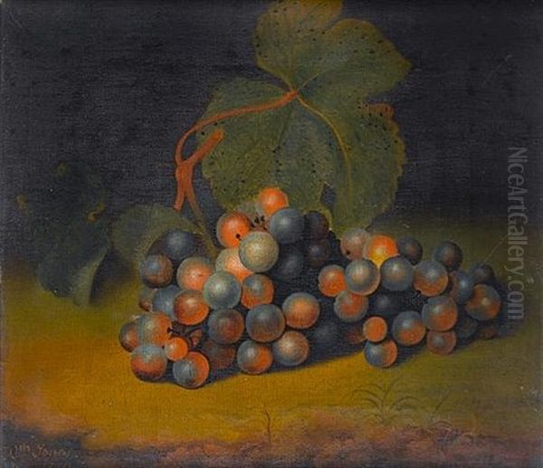 A Bunch Of Grapes In A Landscape - view 1