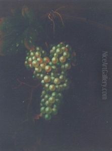 A Bunch Of Grapes On A Vine, With A Fly