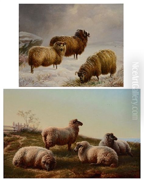 Sheep In A Snowy Landscape by Charles Jones