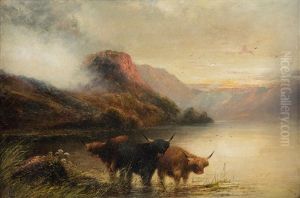 Highland Cattle, Scotland by Charles Jones