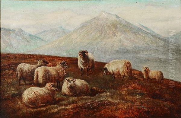 Mountain Landscape With Sheep - view 1