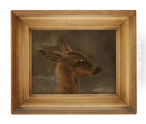 Head Study Of A Deer by Charles Jones
